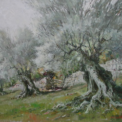 Coll Sotomayor